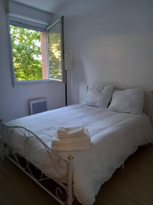Appartement Cosy Cugnaux Екстериор снимка